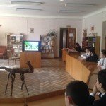 image (5)